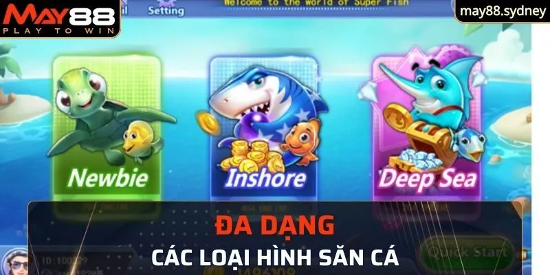 Đa dạng các loại hình săn cá đầy ấn tượng