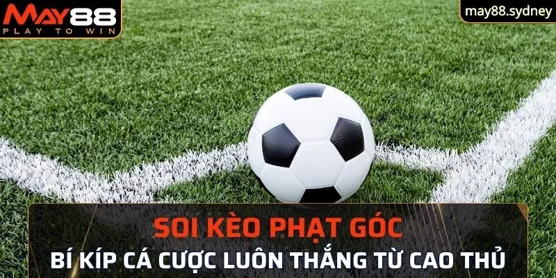 Tổng hợp các tình huống thường gặp khi soi kèo