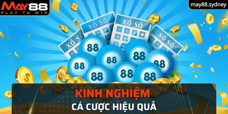 Chia sẻ kinh nghiệm đặt cược xổ số miền Bắc hiệu quả hơn